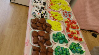 保護中: 11月のおたのしみ会(遠足ごっこ)